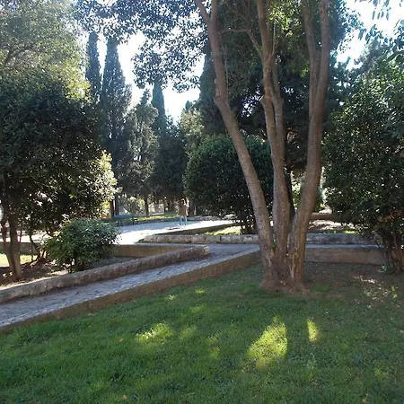 Darka Σπλιτ